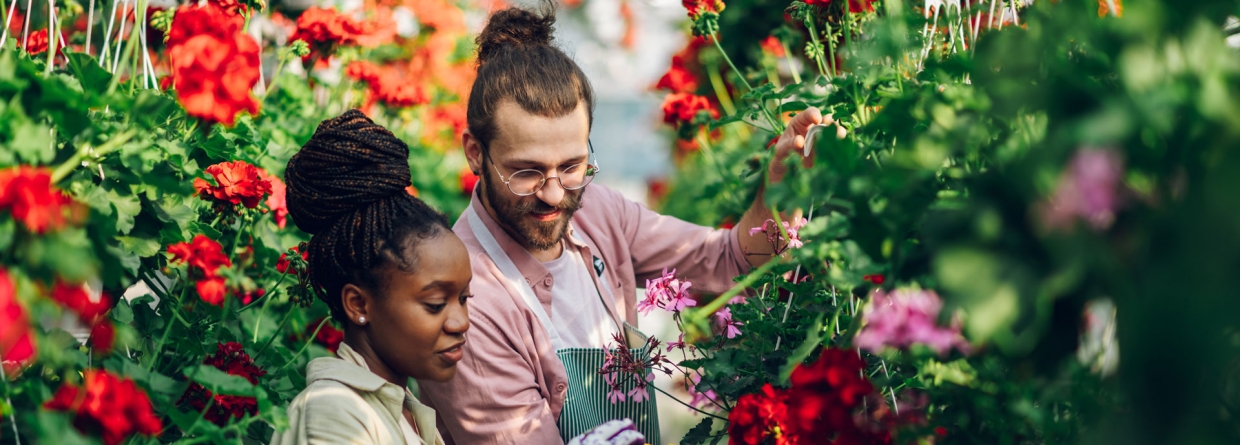 Een gelukkig stel werkt samen in de kassen waar mooie bloemen groeien