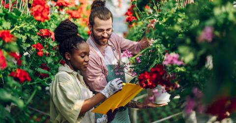 Een gelukkig stel werkt samen in de kassen waar mooie bloemen groeien